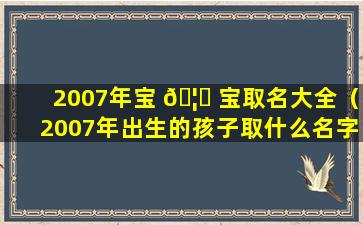 2007年宝 🦋 宝取名大全（2007年出生的孩子取什么名字好）